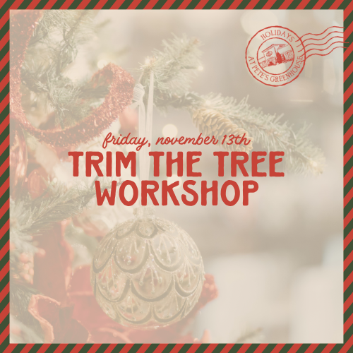 Trim the Tree Workshop - November 13th