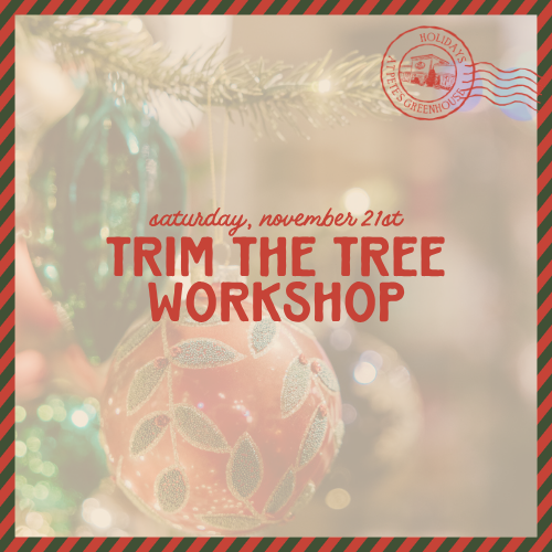 Trim the Tree Workshop - November 21st