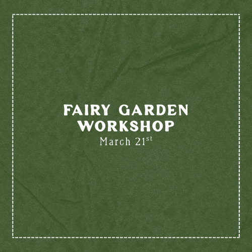 Fairy Garden Workshop - March 21st