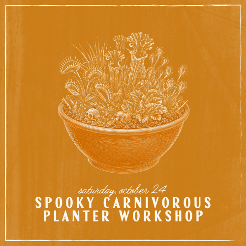 Spooky Carnivorous Planter Workshop - Oct 24