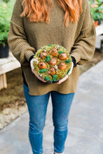 Load image into Gallery viewer, Paperwhite Workshop