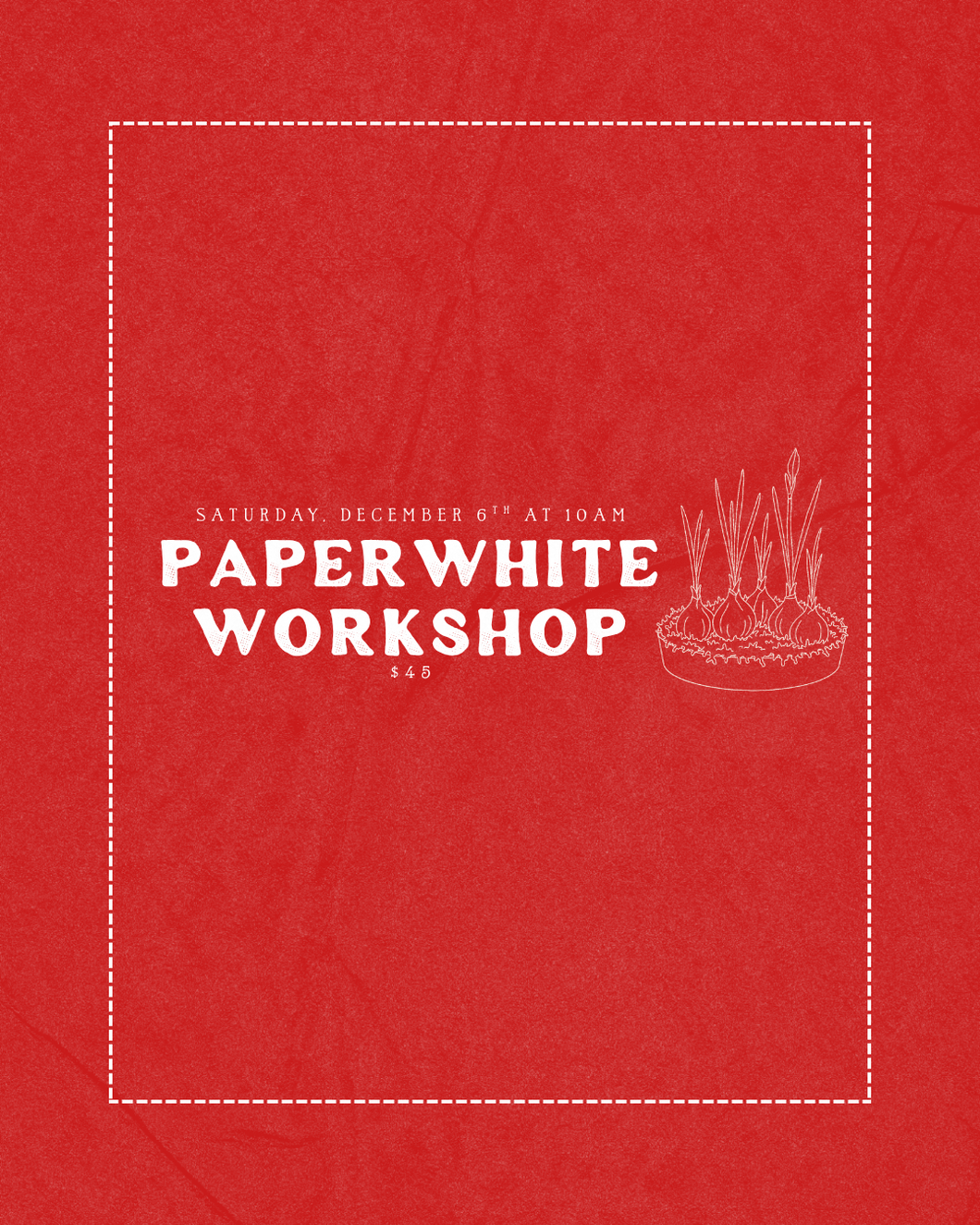 Paperwhite Workshop
