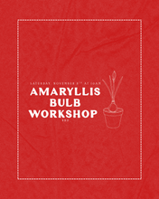 Load image into Gallery viewer, Amaryllis Bulb Workshop