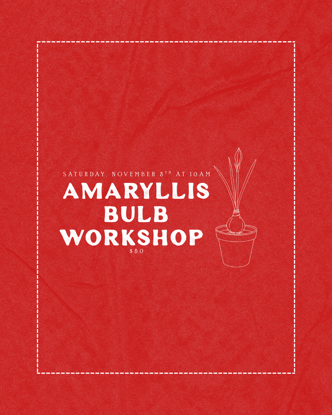 Amaryllis Bulb Workshop