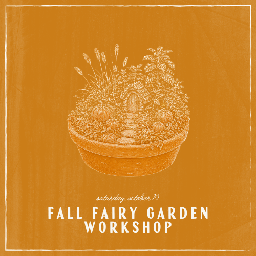 Fall Fairy Garden Workshop