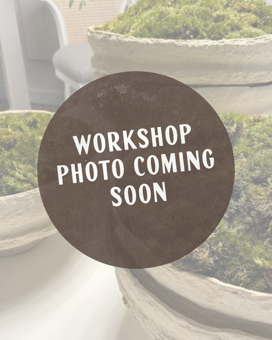 Moss Bowl Workshop - Bring Your Bowl