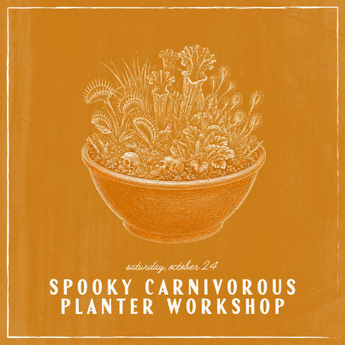 Promotional graphic for a 'Spooky Carnivorous Planter Workshop' on Saturday, October 24. The design features a hand-drawn style illustration of a bowl filled with carnivorous plants in white ink on a textured orange background.