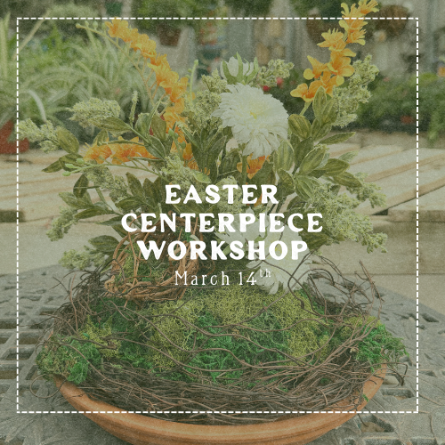Easter Centerpiece Workshop - March 14th