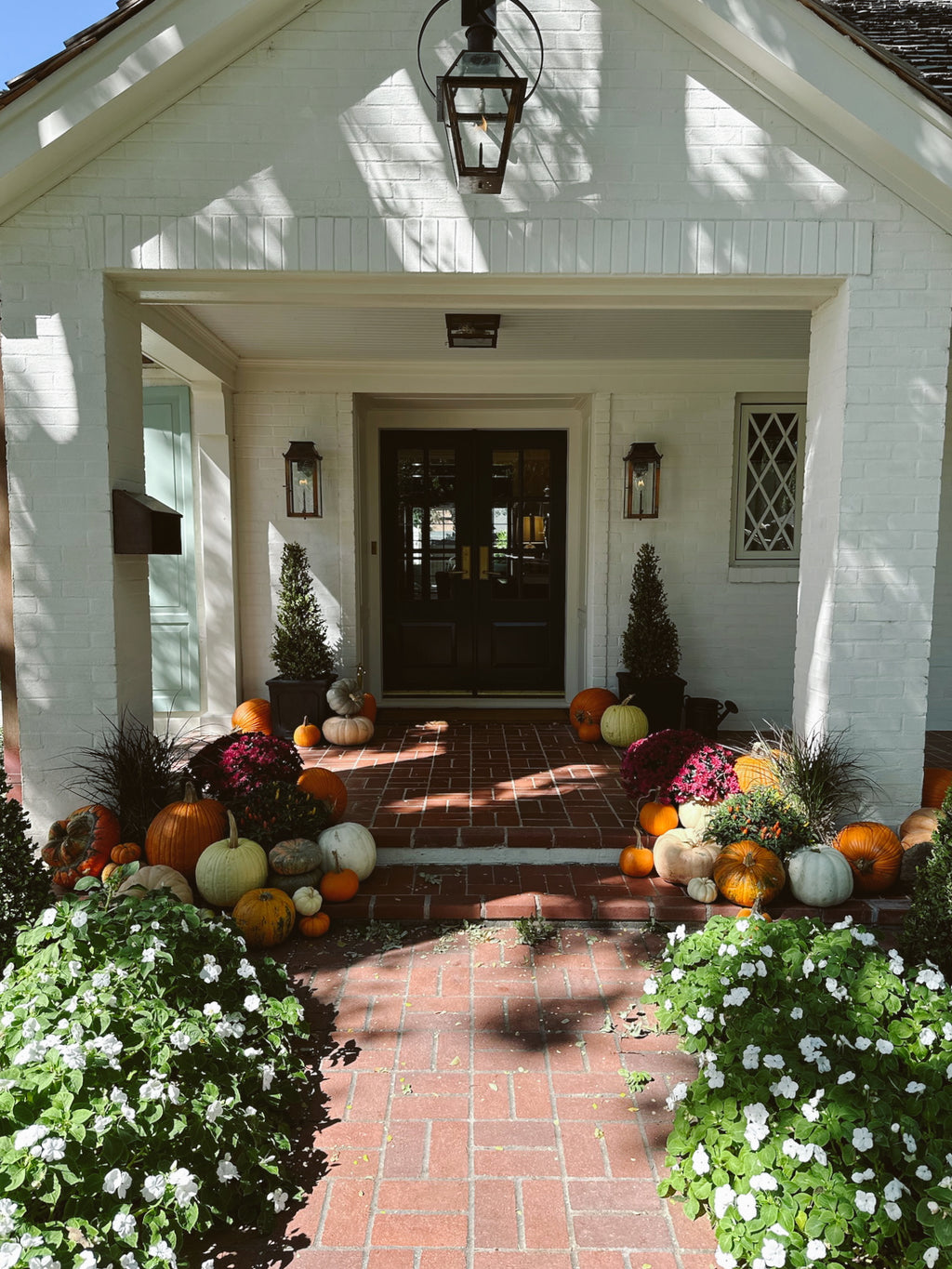 Pete's Pumpkins - Package No.5