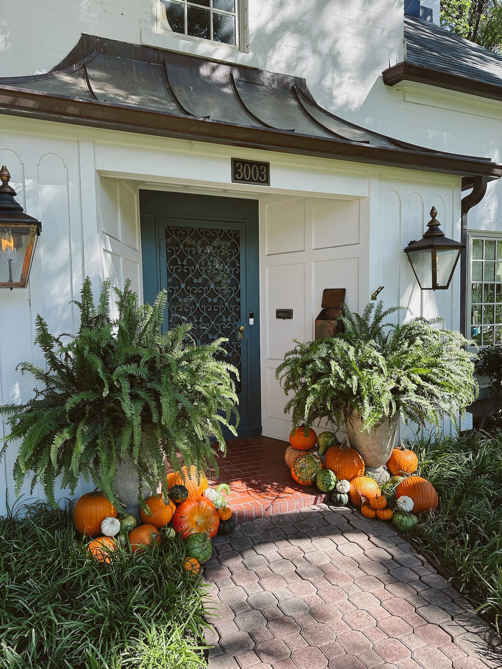 Pete's Pumpkins - Package No.6