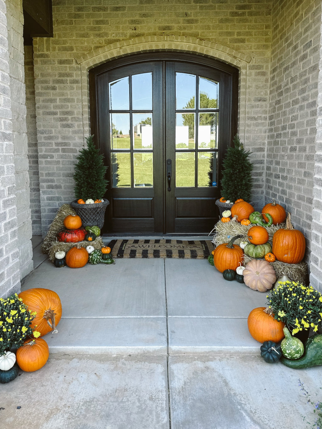 Pete's Pumpkins - Package No.6