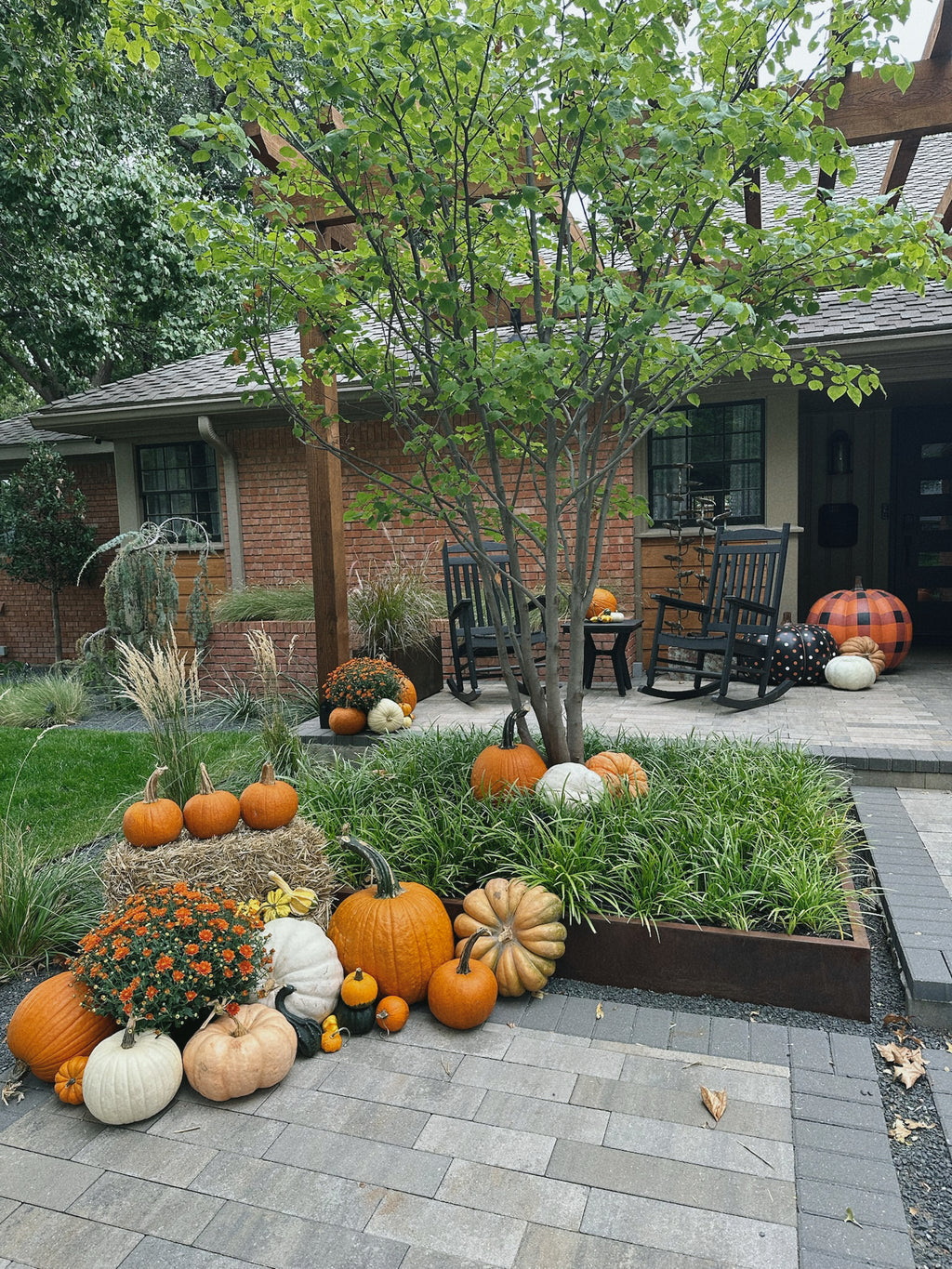 Pete's Pumpkins - Package No.4