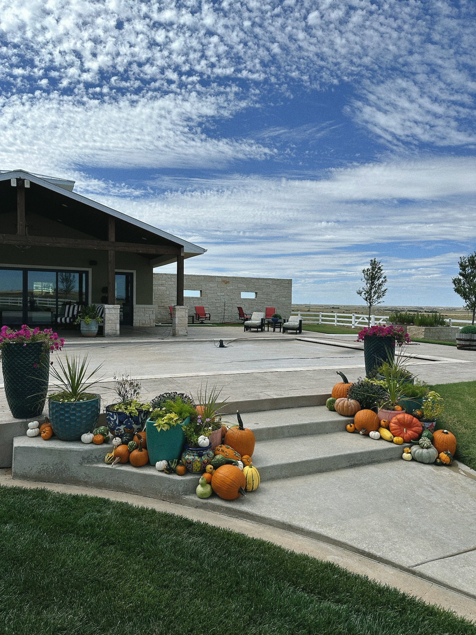 Pete's Pumpkins - Package No.6