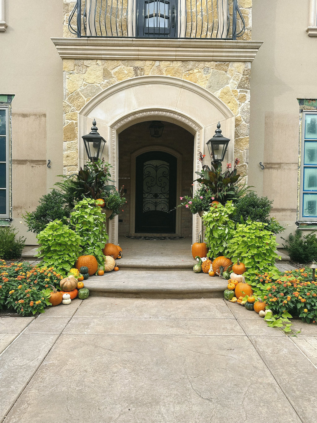 Pete's Pumpkins - Package No.6