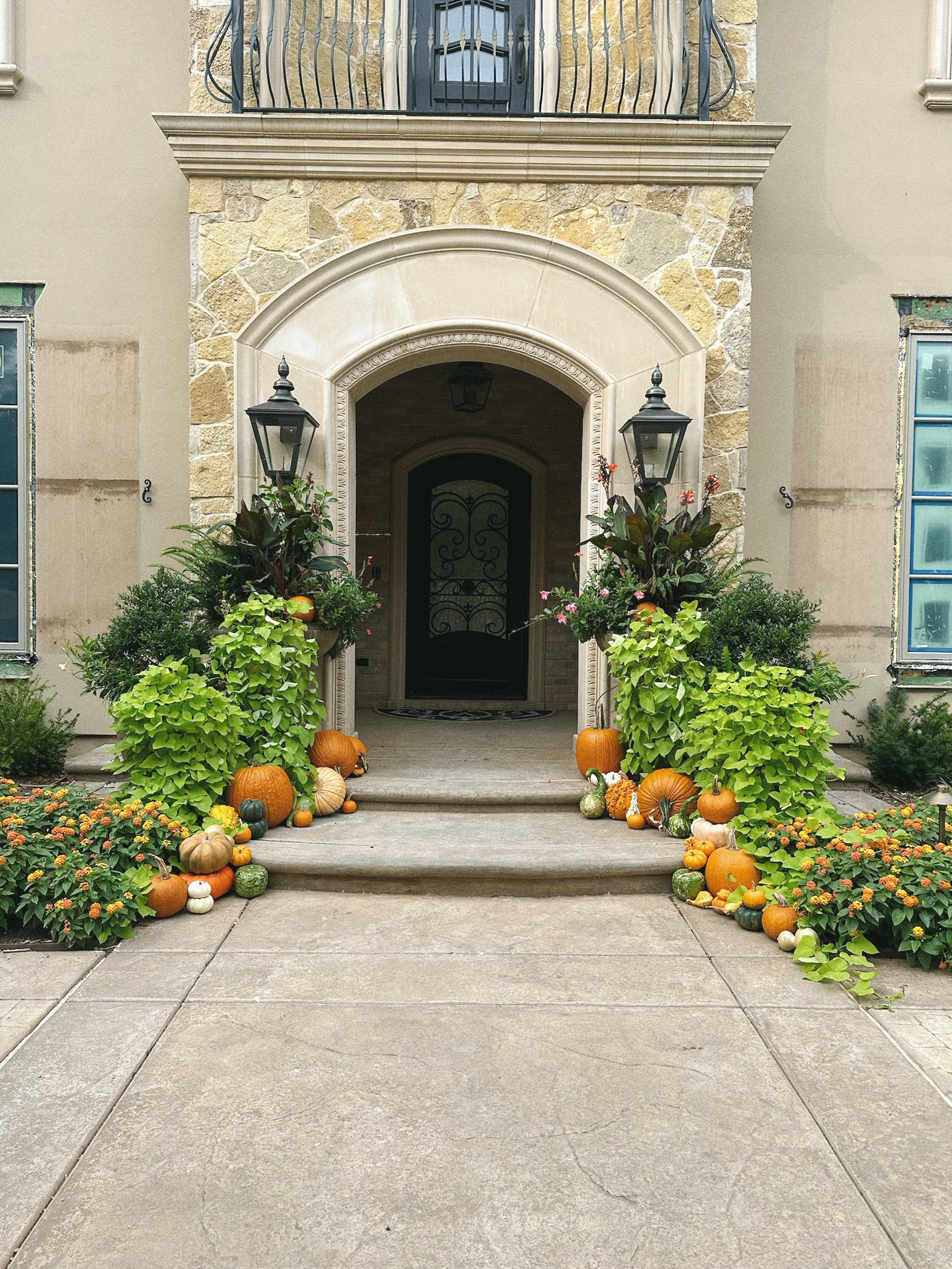 Pete's Pumpkins - Package No.6