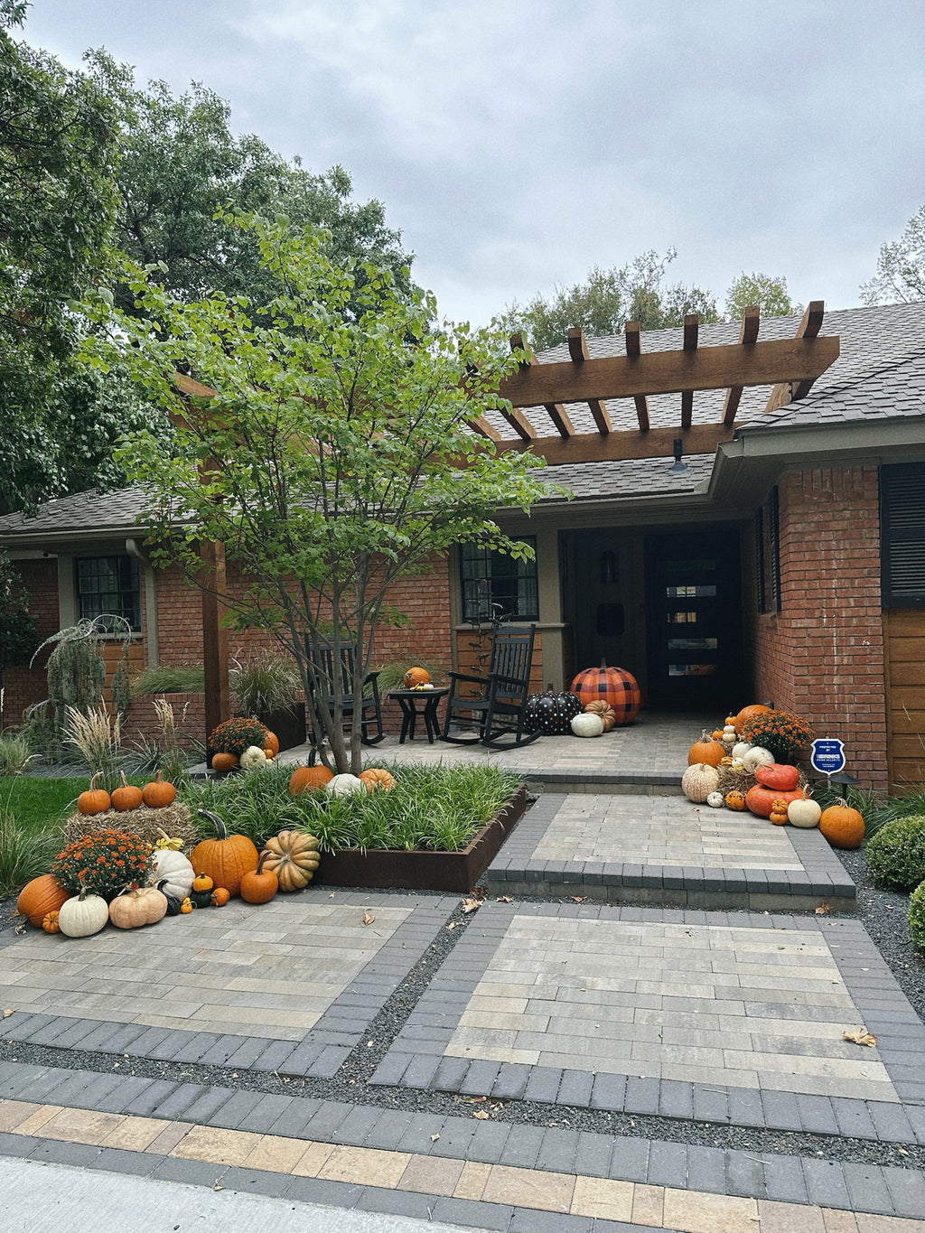 Pete's Pumpkins - Package No.4