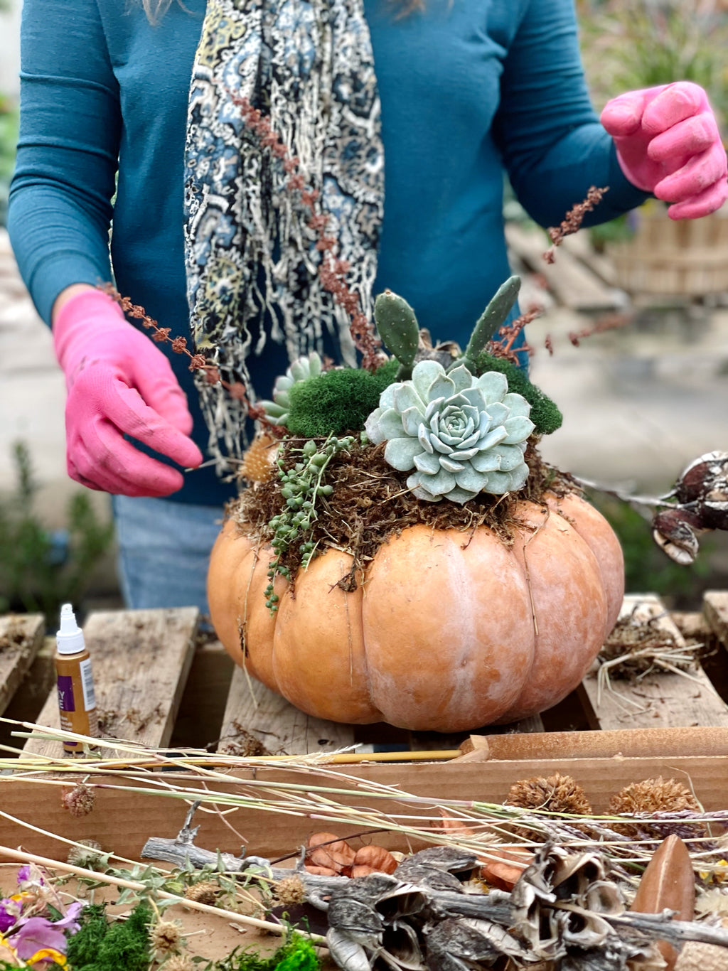 Pumpkin Succulent Workshop - Sep 26