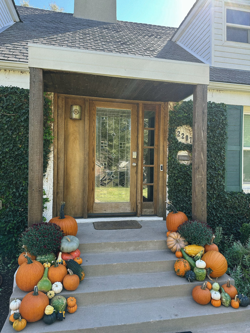 Pete's Pumpkins - Package No.6