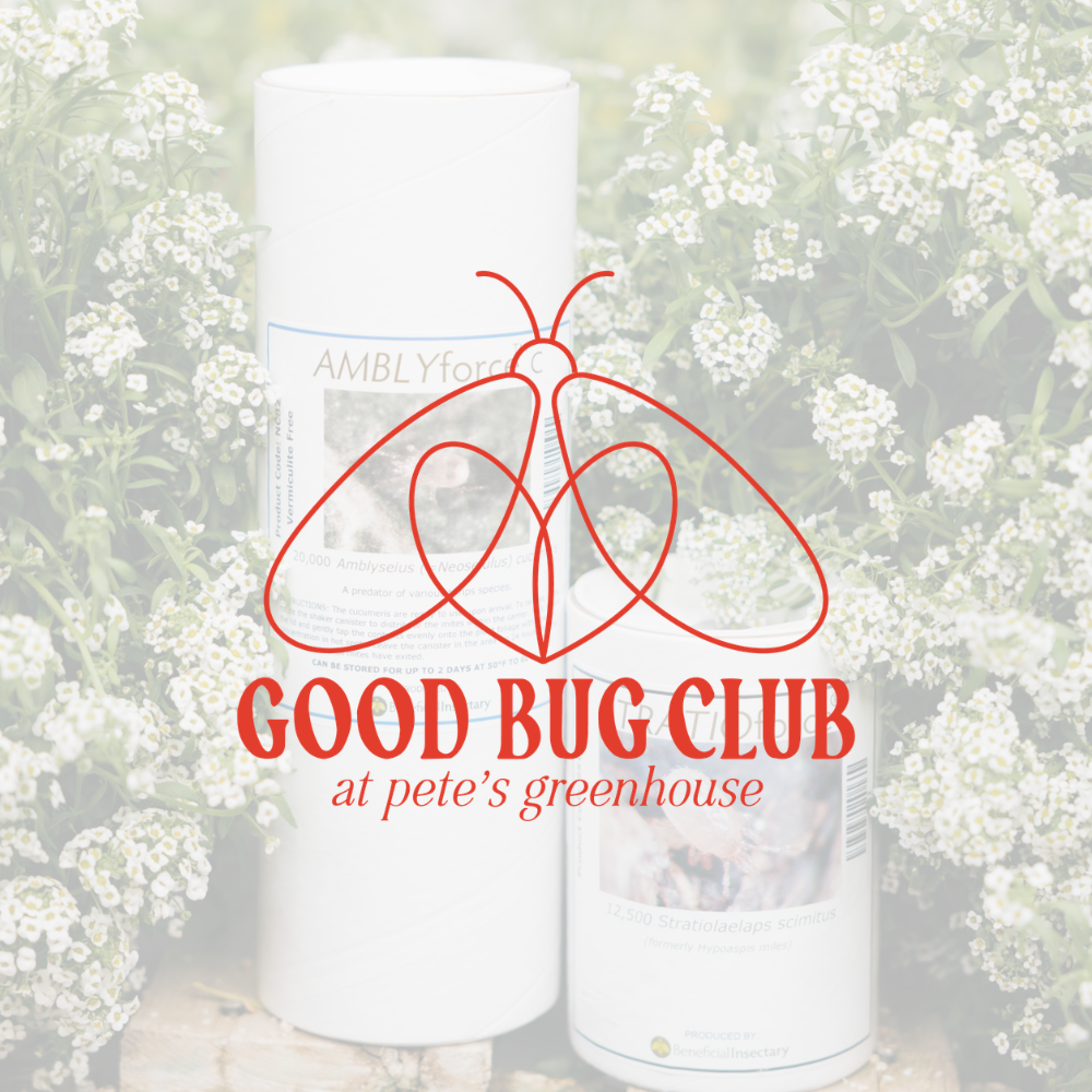 Good Bug Club